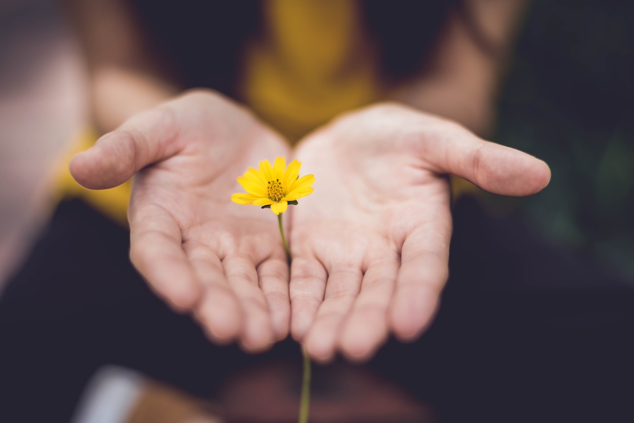 Rochester Public Library to host Drop-in Reiki Healing Circle on 1/20