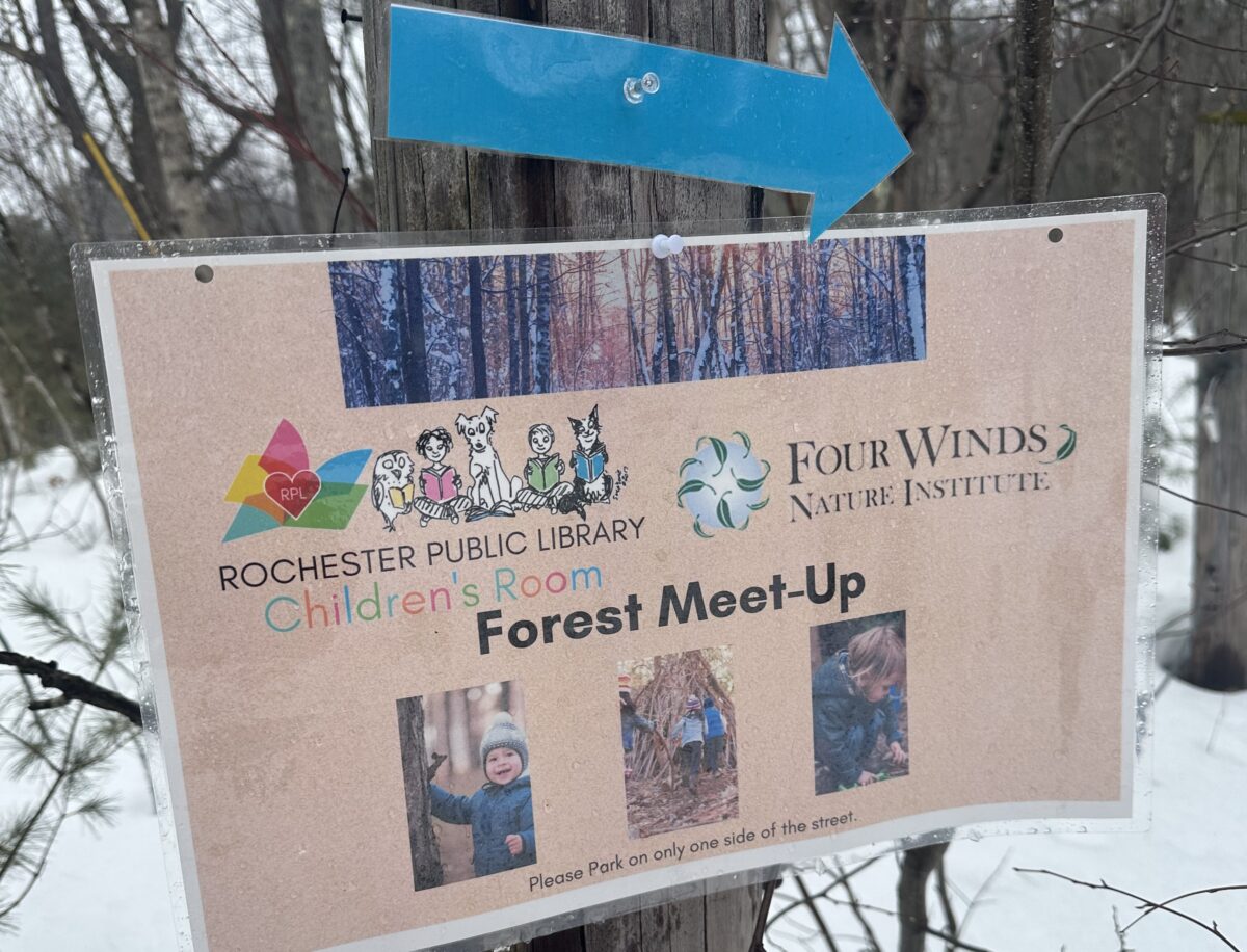 Library’s First Forest Meet-Up Brings Families Outdoors for Nature Exploration