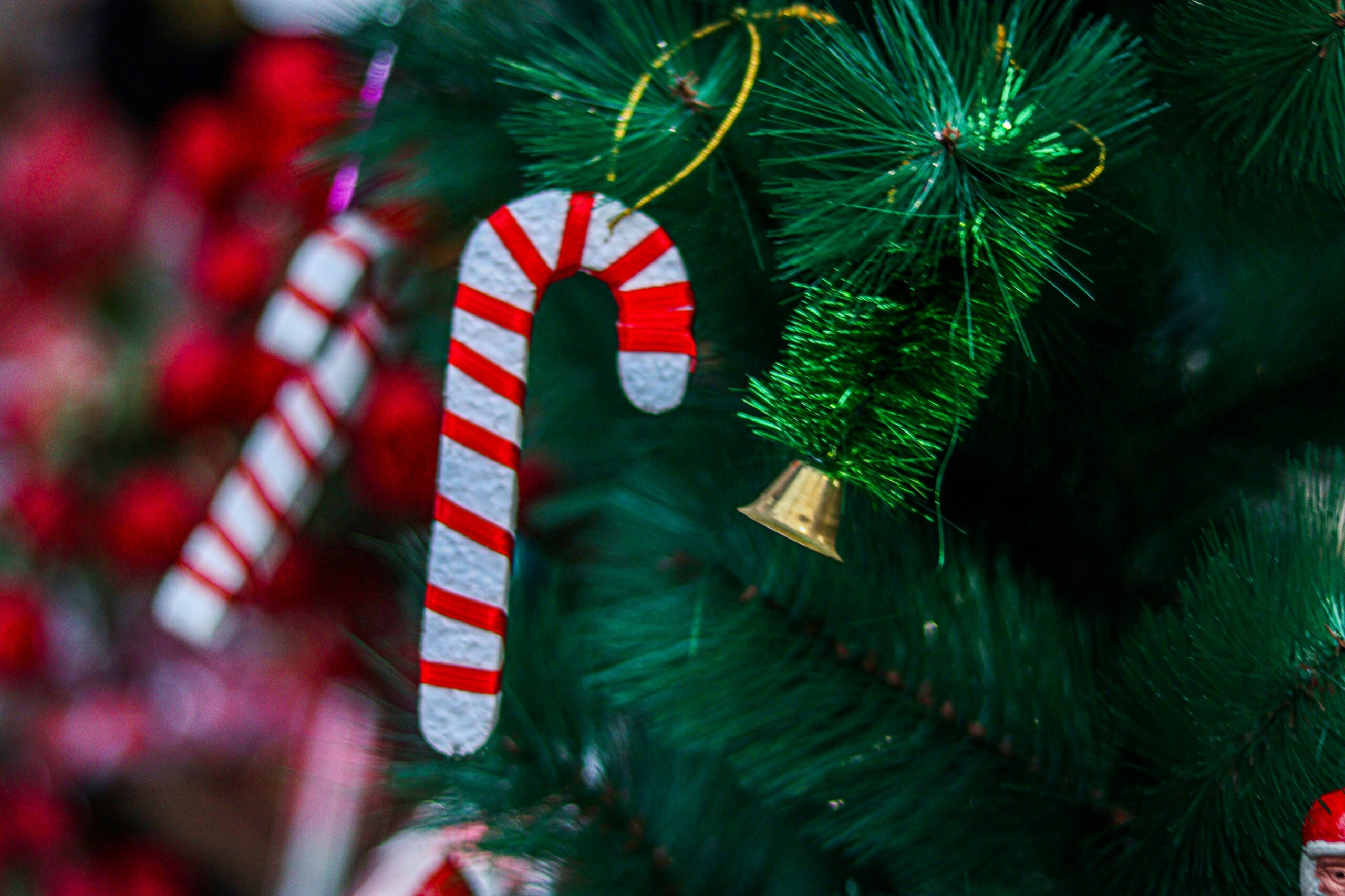 Greater Rochester Chamber of Commerce to Present “Christmas in Candyland” 2025 Holiday Parade