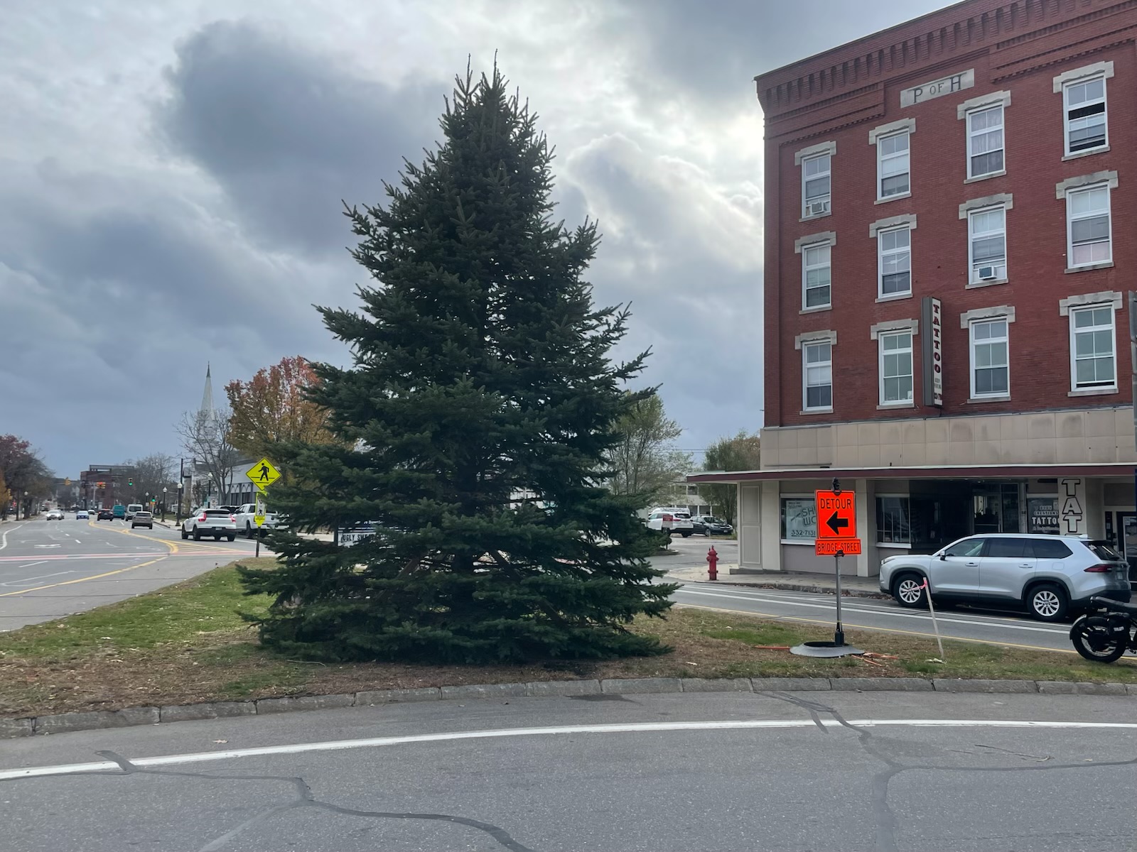 Beloved Family Tree to Brighten the Holiday Season, Huston Family Donates Rochester’s 2025 Christmas Tree