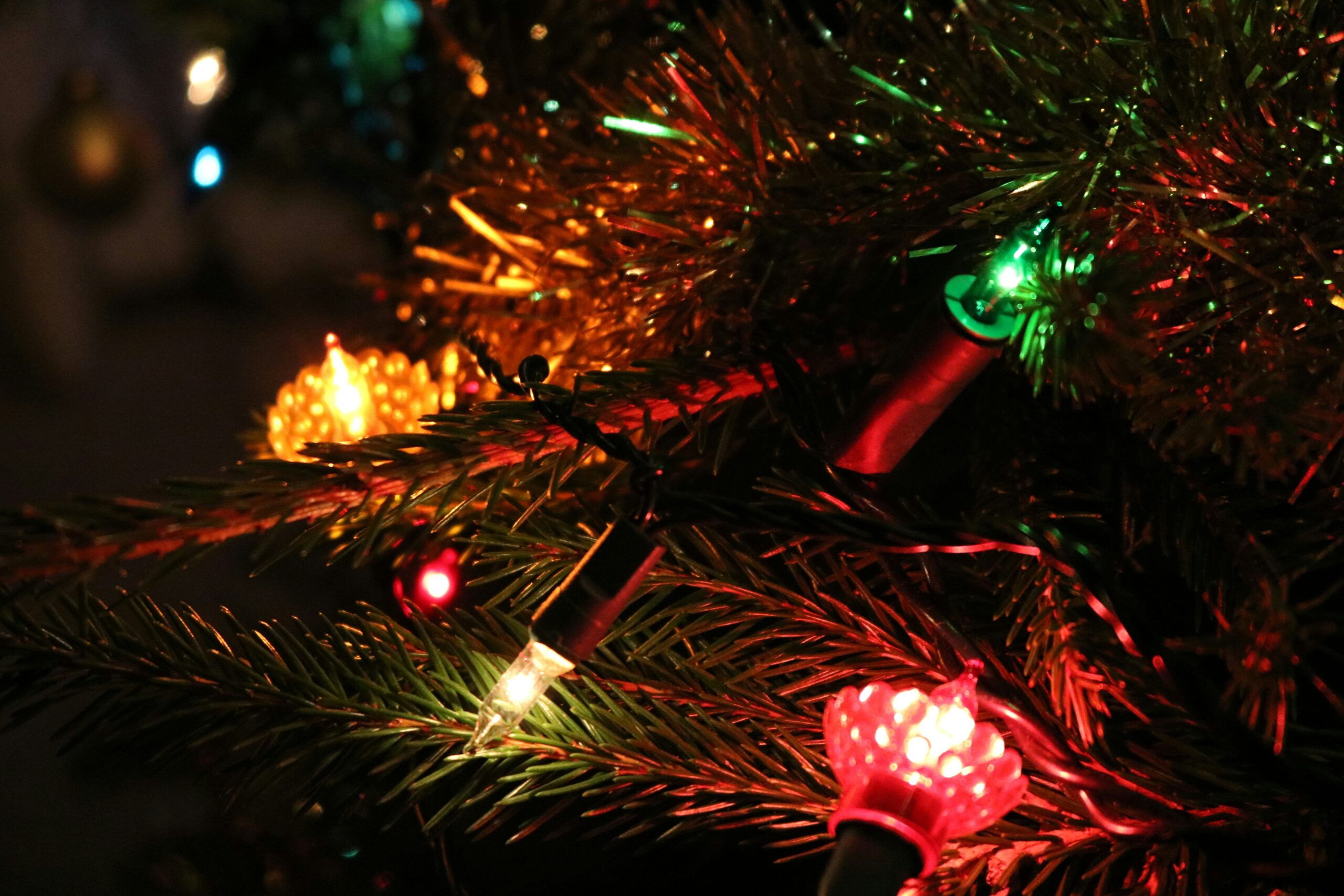 Greater Rochester Chamber of Commerce To Light Up the Holiday Season With Annual Holiday Tree Lighting