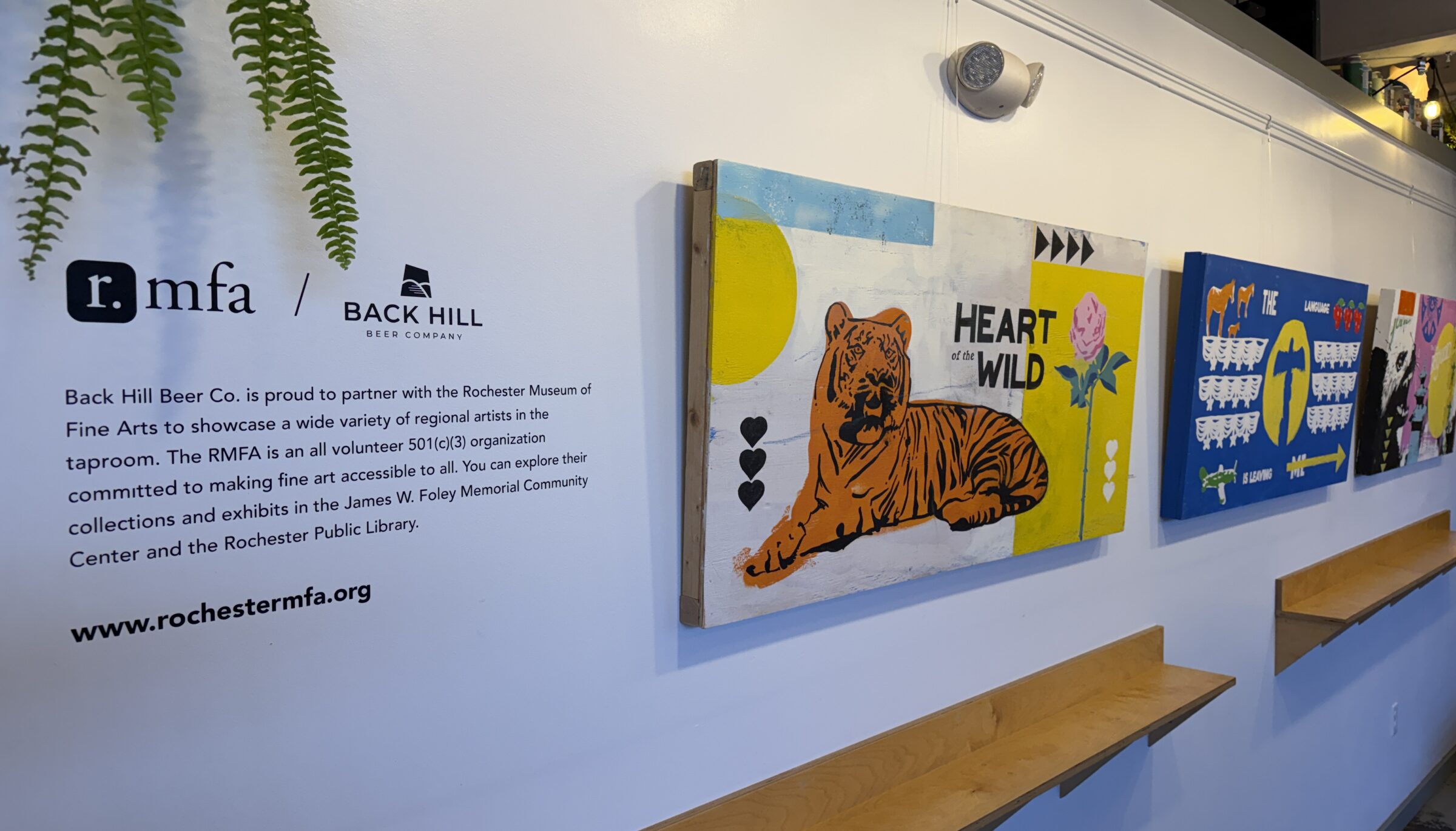 Rochester Museum of Fine Arts Announces “Heart Of The Wild” Exhibition Featuring Works by Mike Durkee