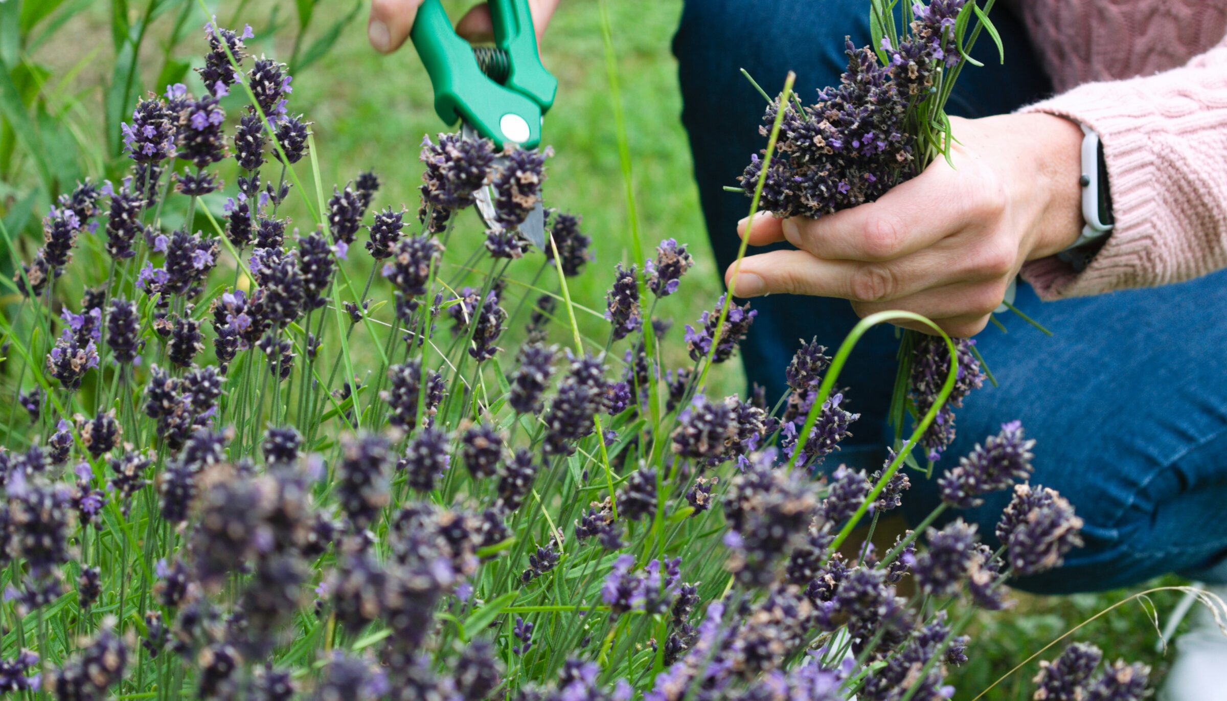 Lilac City Gardeners to Host Spring Gardening Workshop on 4/14
