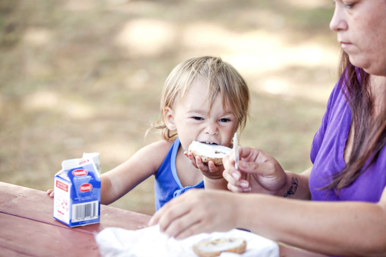 Community Action Partnership of Strafford County Expands Summer Meals Program for 2026