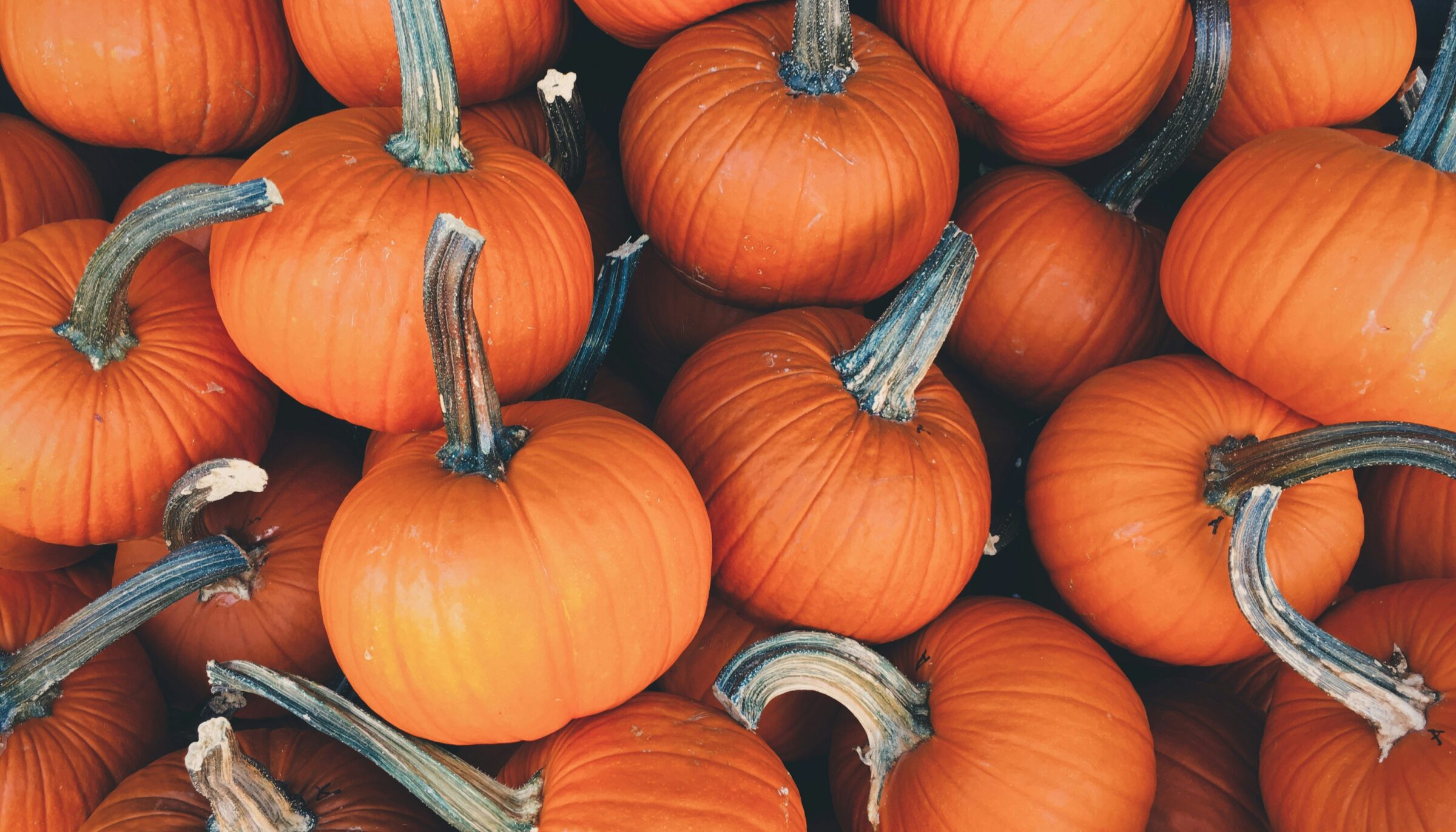 Rochester Main Street Presents Halloween Spooktacular & Pumpkin Patch on 10/3